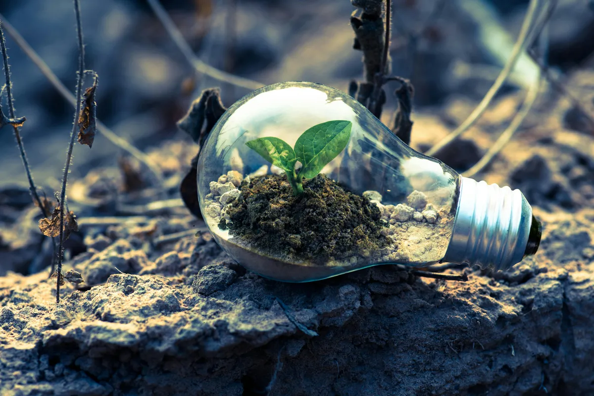 green in the waste
